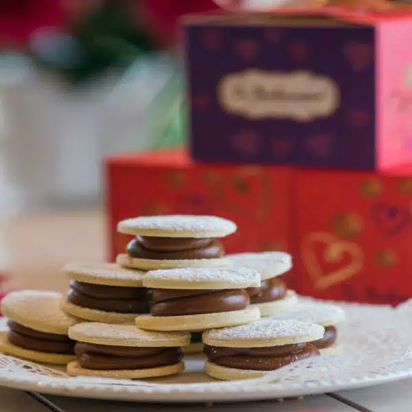 Cajita de Regalo con 9 Alfajores