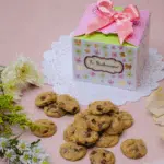 Cajita de Regalo con 24 Minis